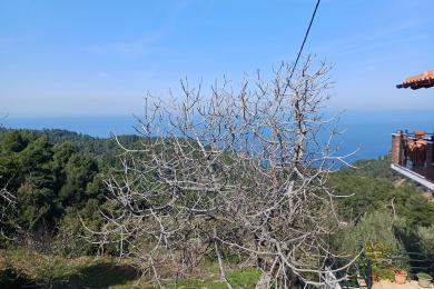 Κηρεάς, Οικόπεδο, Πώληση, 4533 τ.μ