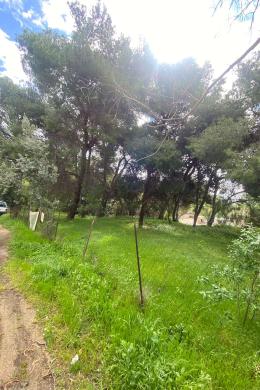 Κηφισιά, Οικόπεδο, Πώληση, 432 τ.μ