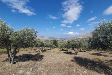 Κερατέα, Οικόπεδο, Πώληση, 8672 τ.μ